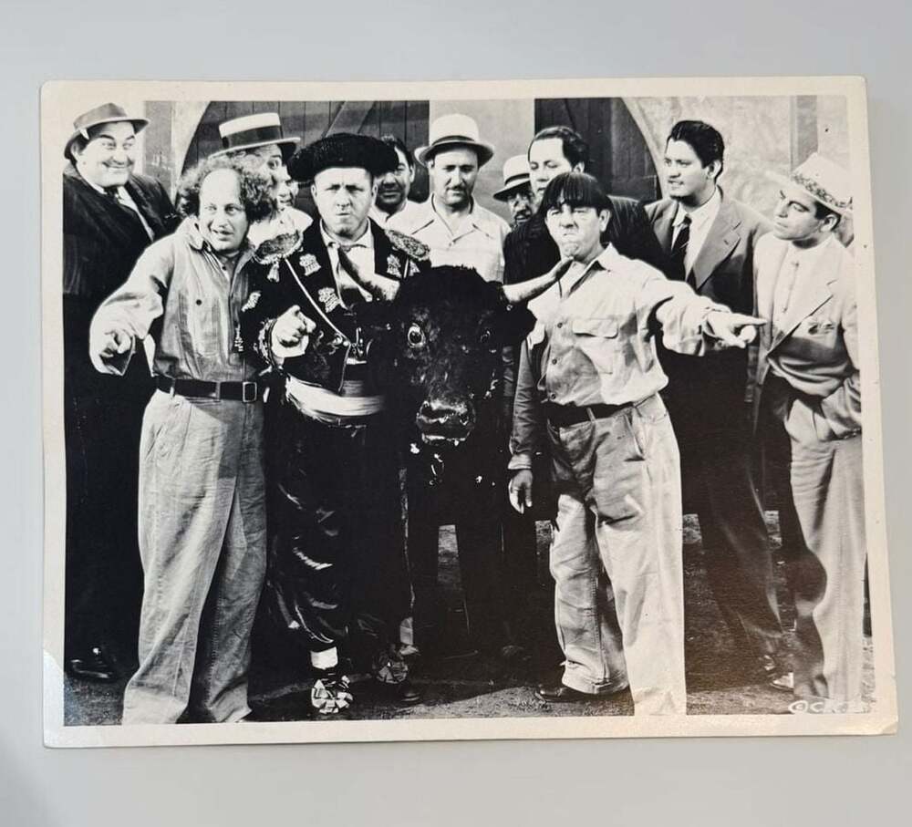 The Three Stooges Original Vintage  Publicity Still Photo :What's the Matador?